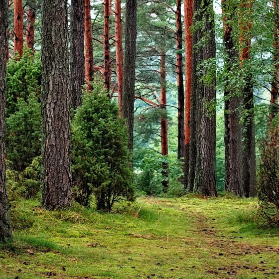 What 3 Values Could The World Live By?