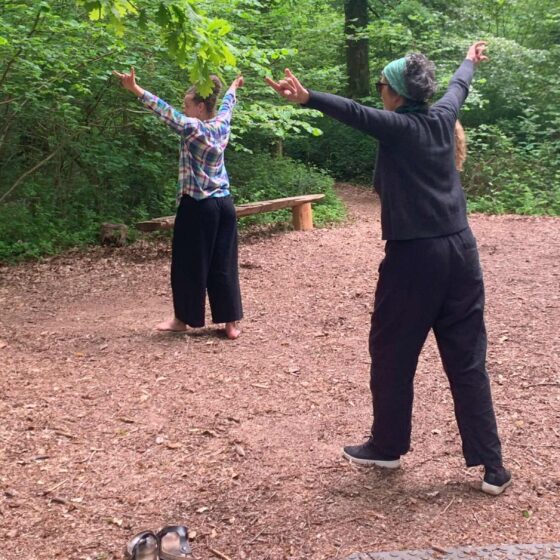 Qigong In The Woods - A Funded Class for women with Long-term Health Conditions