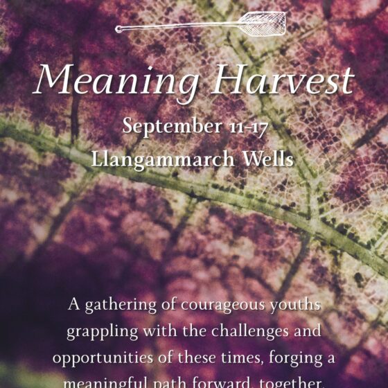 The Meaning Harvest