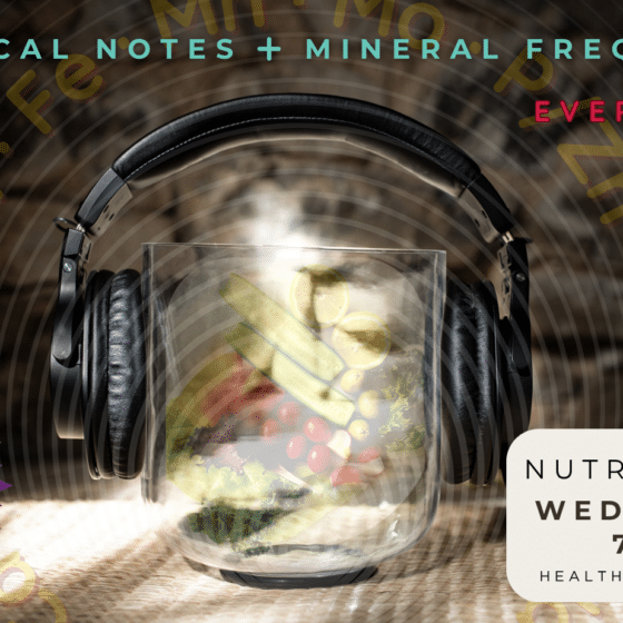 Sound Journey Nutri:Sounds